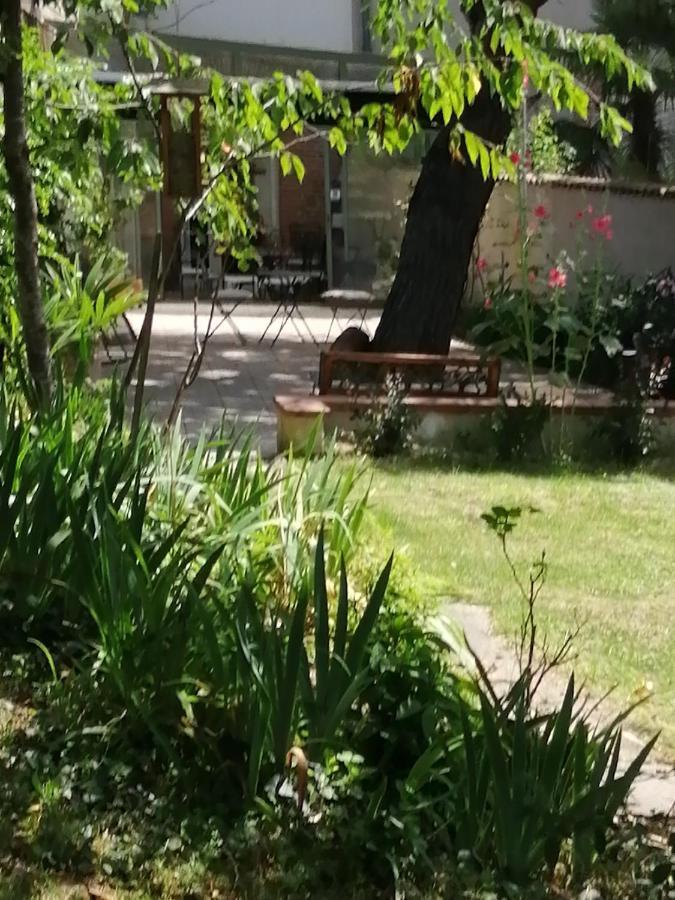 Chambre D'Hotes Pmr Hildegarde Moissac Εξωτερικό φωτογραφία